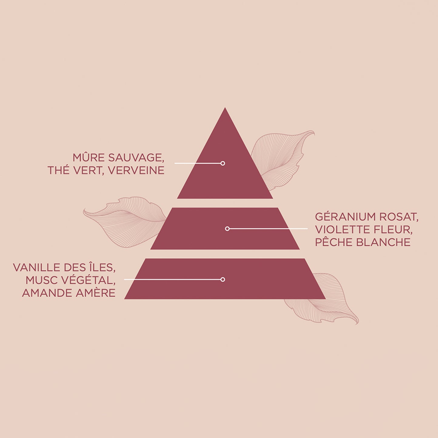 MURMÛRE GOURMAND - GALET NETTOYANT VISAGE & CORPS